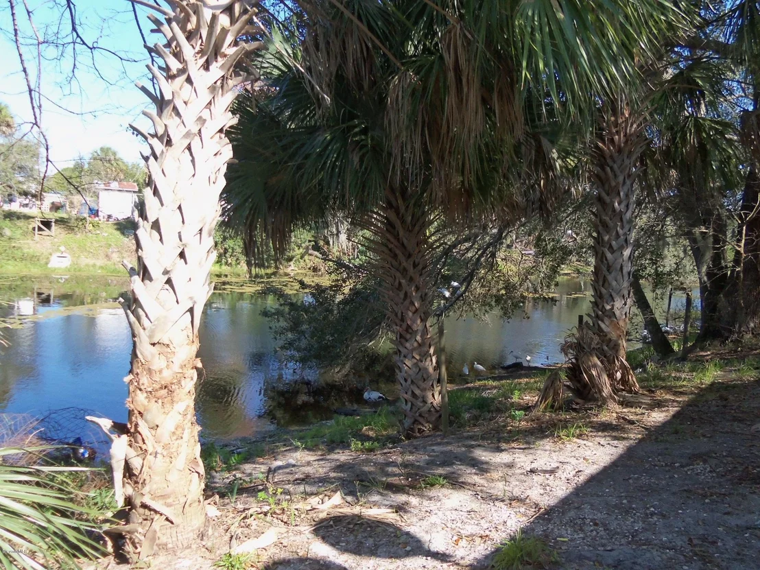 Photo of 6952 Aster Drive