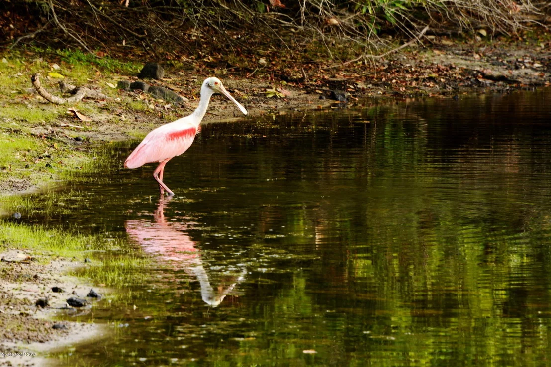 Photo of 4019 Mallard Drive