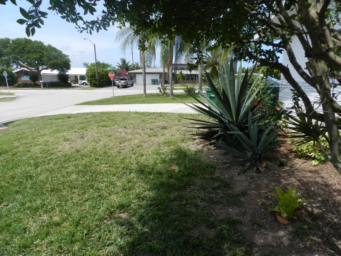 Photo of 205 Orange Street