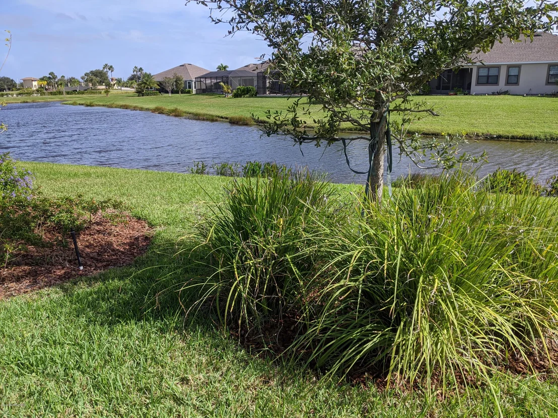 Photo of 7447 Bluemink Lane