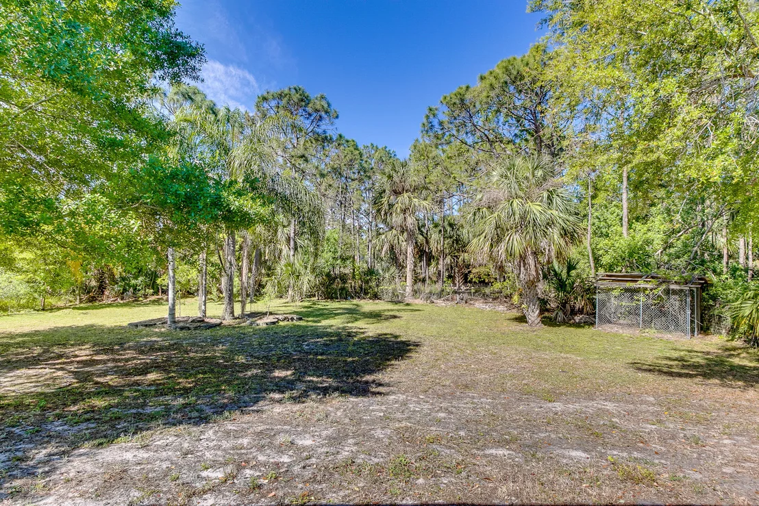 Photo of 3050 Washingtonia Drive