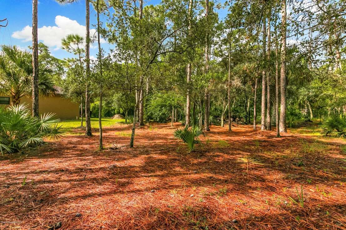 Photo of 4105 Magnolia Road