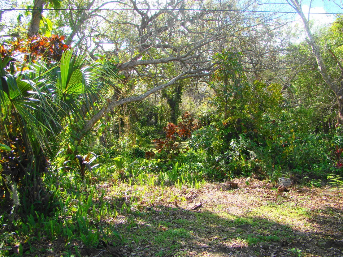 Photo of 2141 Rockledge Drive