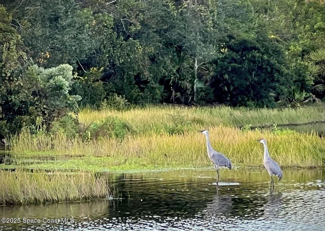 Photo of 3920 Turkey Point Drive