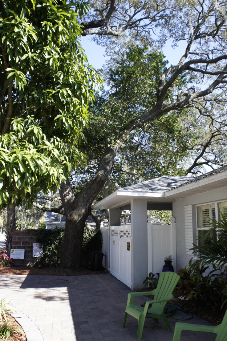 Photo of 555 Old Oak Street