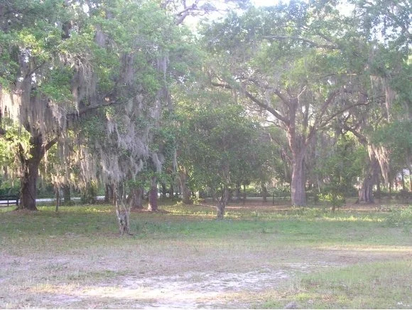 Photo of 0 Turtle Mound
