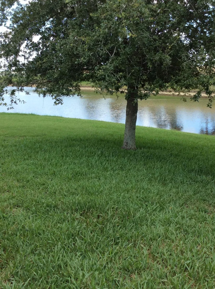 Photo of 6196 Indigo Crossing Drive