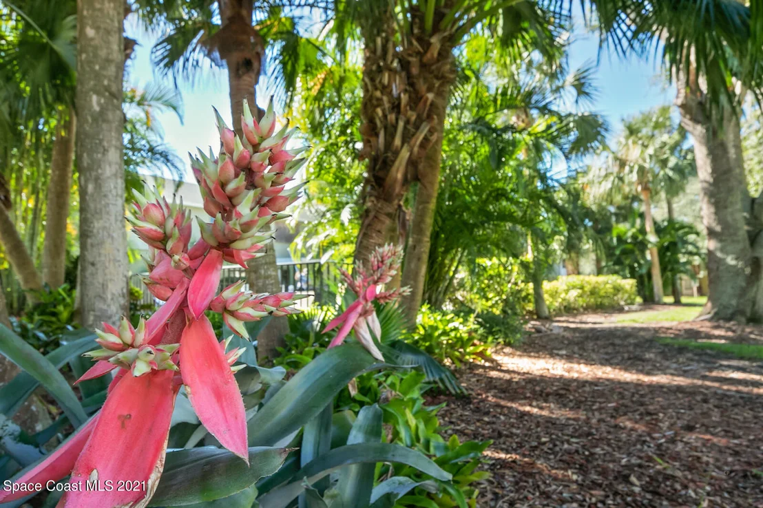 Photo of 2254 Flower Tree Circle