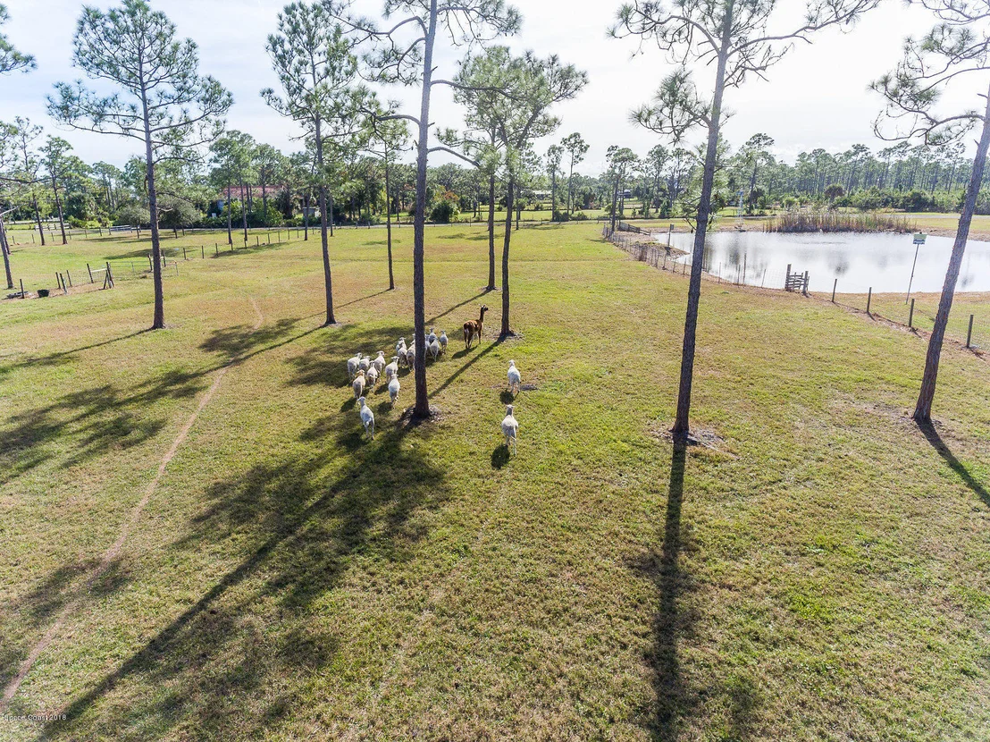 Photo of 3040 Kramer Lane