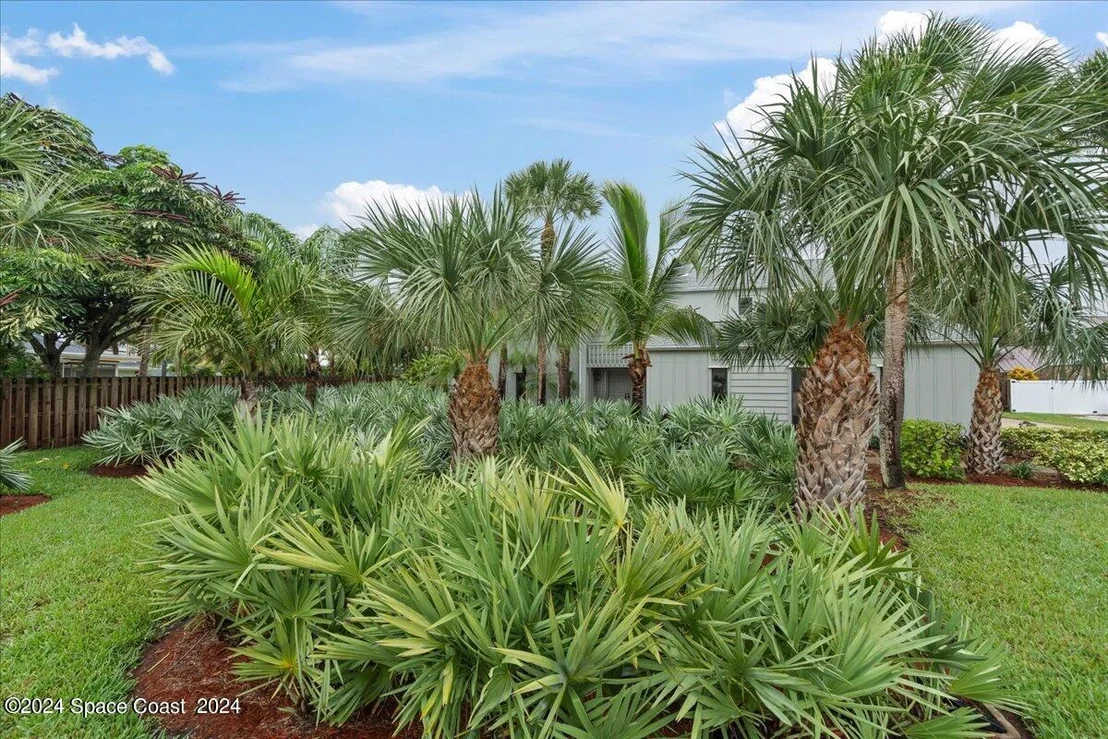 Photo of 589 Spindle Palm Drive