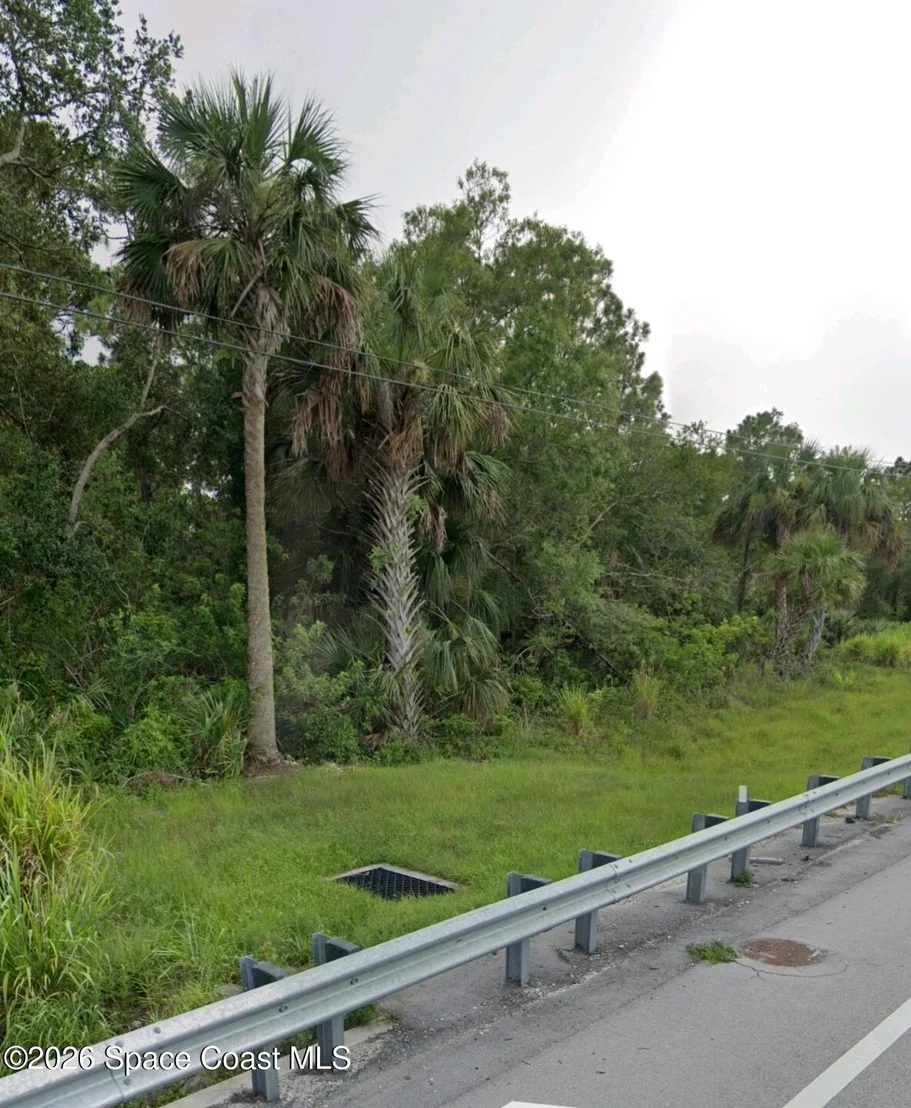 Photo of 0381 - Mal E Malabar Road E