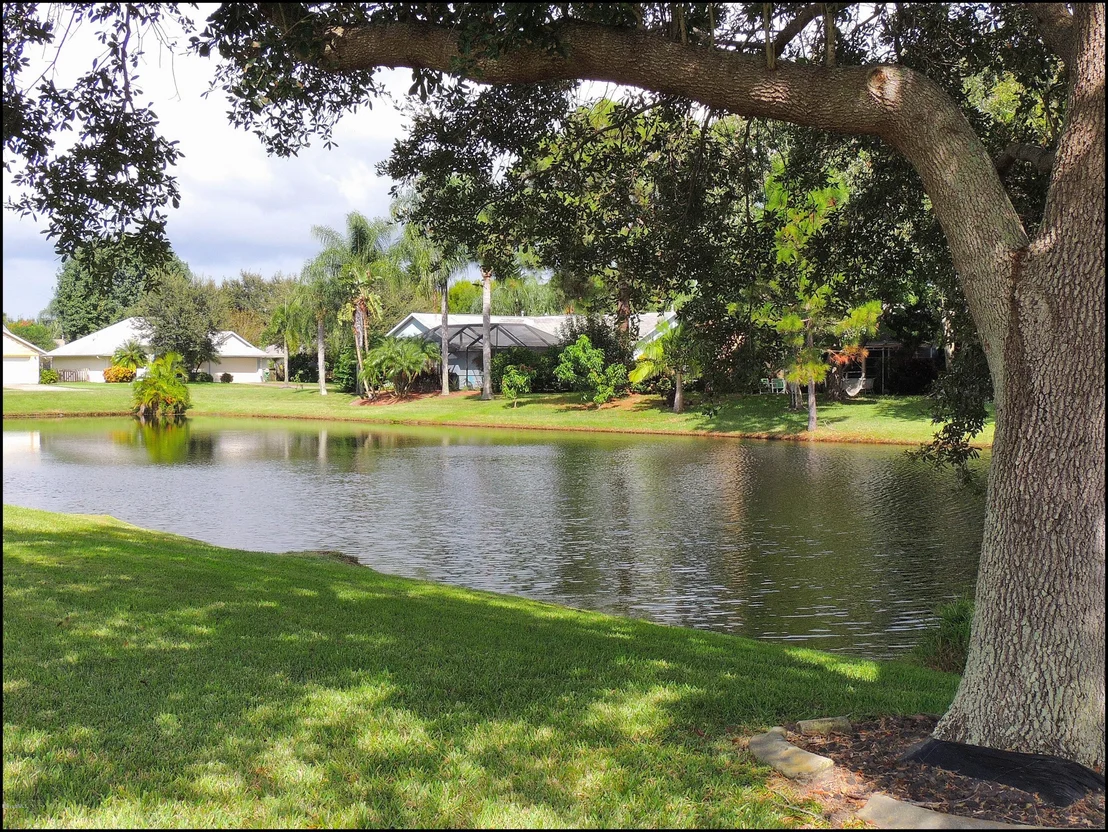Photo of 970 Tamarind Circle