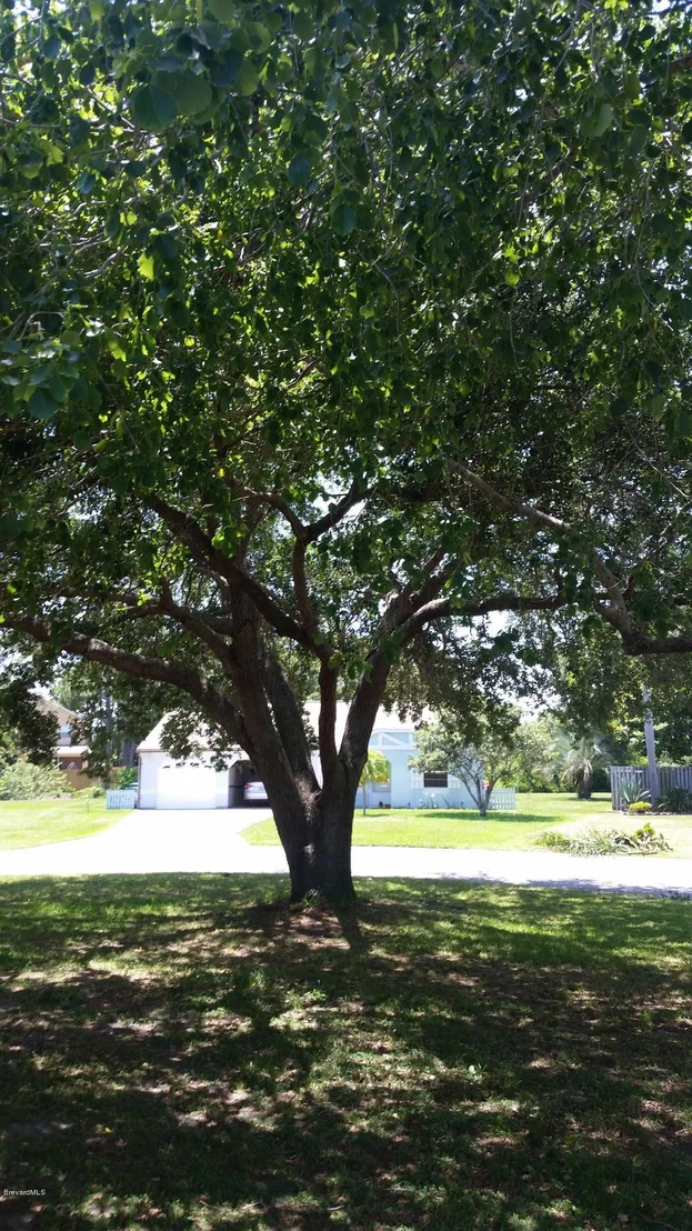 Photo of 1367 Fargo Drive