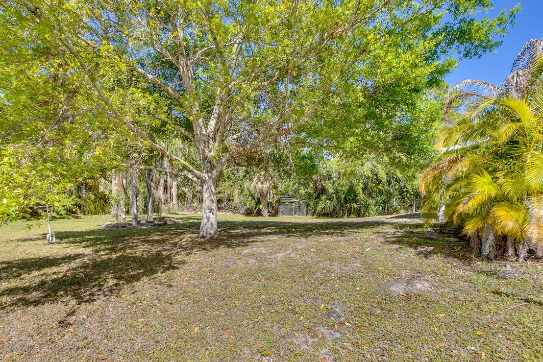Photo of 3050 Washingtonia Drive