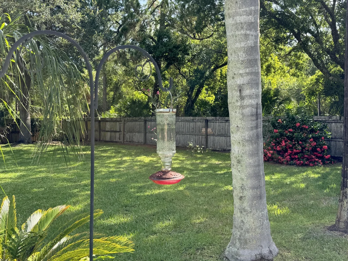 Photo of 5000 Timber Lane Drive