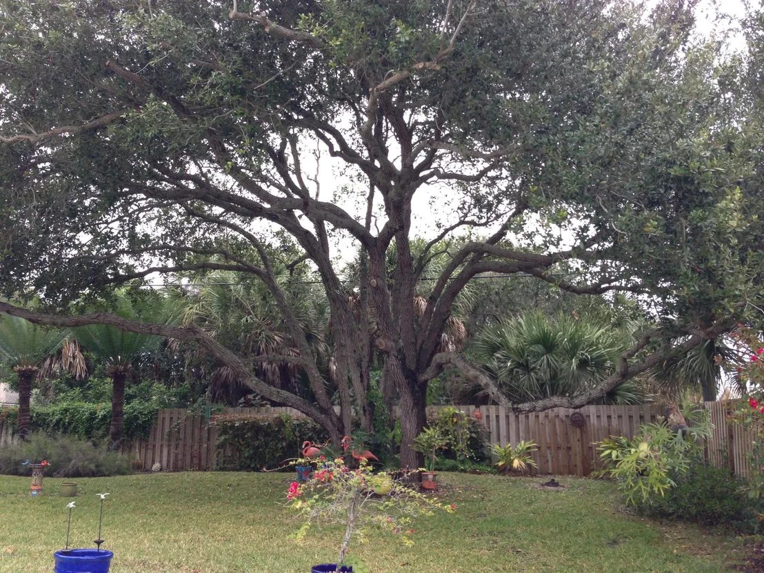 Photo of 138 Cardinal Drive