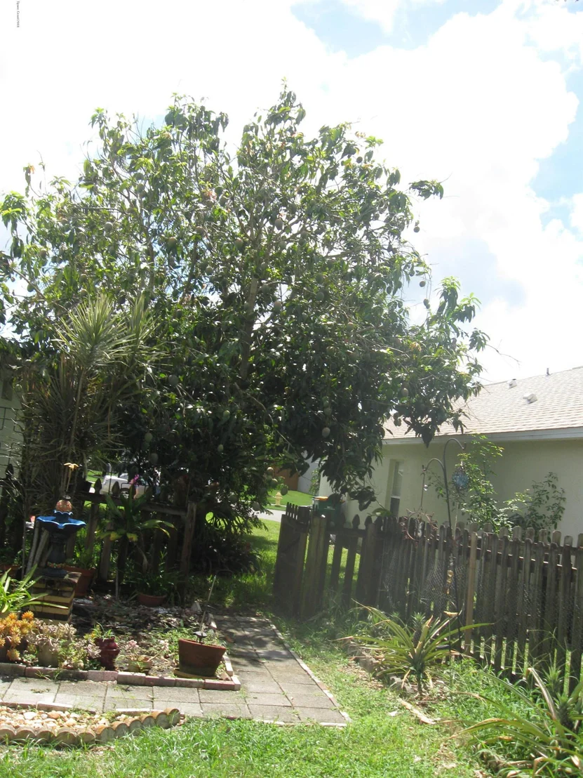 Photo of 3583 Egret Drive