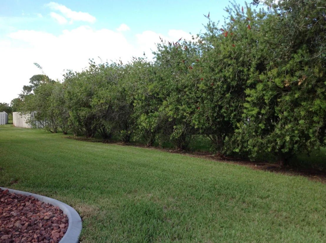 Photo of 1275 Starling Way