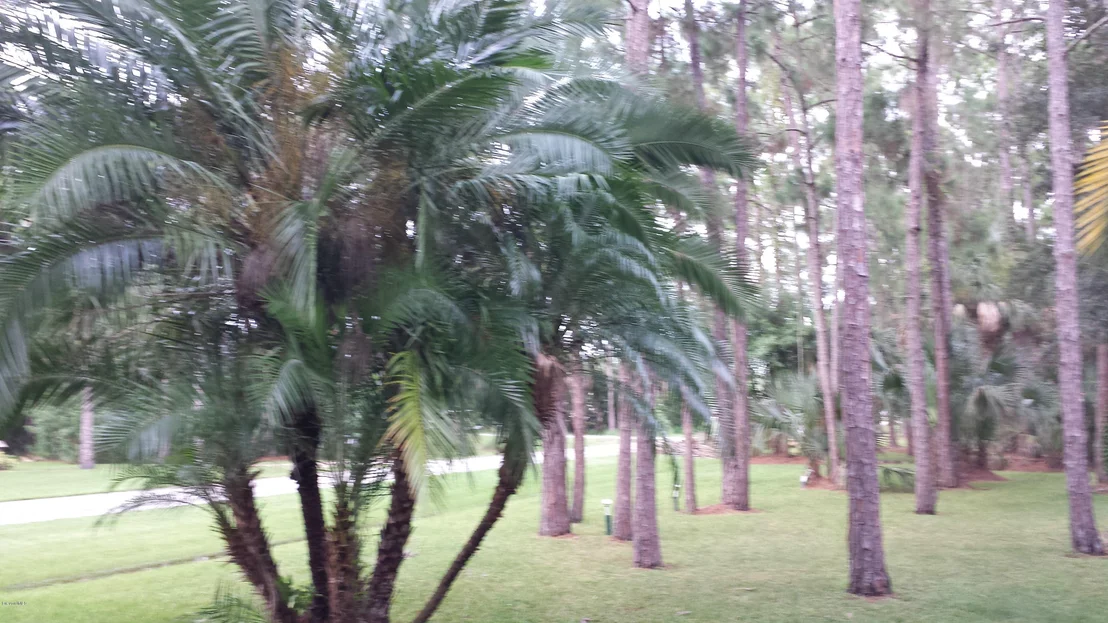 Photo of 4925 Fauna Drive