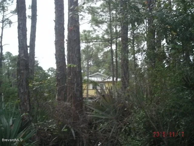 Photo of 1885 Grant Road