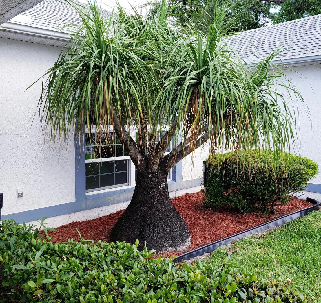 Photo of 2370 Oak Creek Circle
