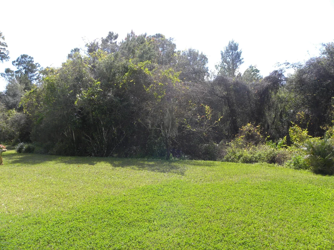 Photo of 3987 Tangle Drive