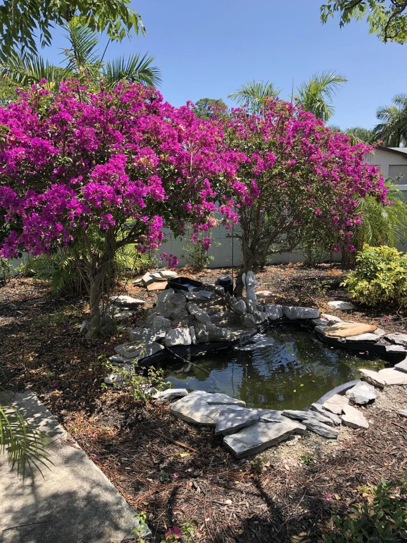 Photo of 905 Magnolia Drive