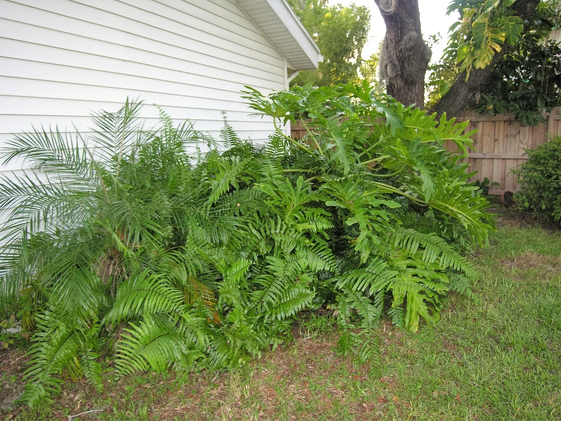 Photo of 736 Aurora Road