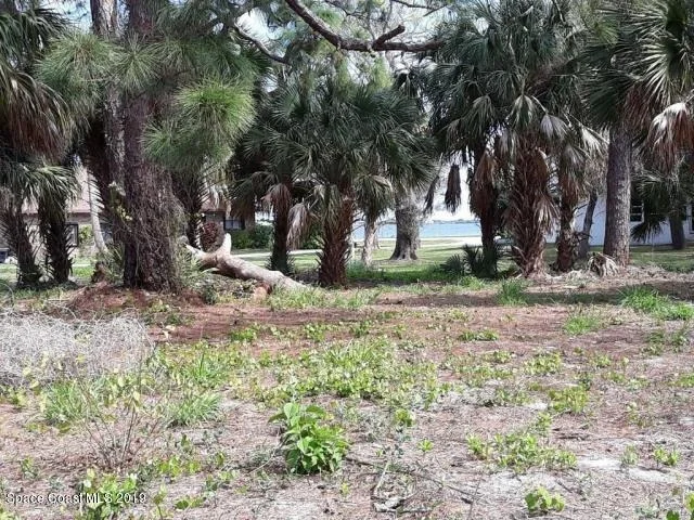 Photo of 3520 Reef Place