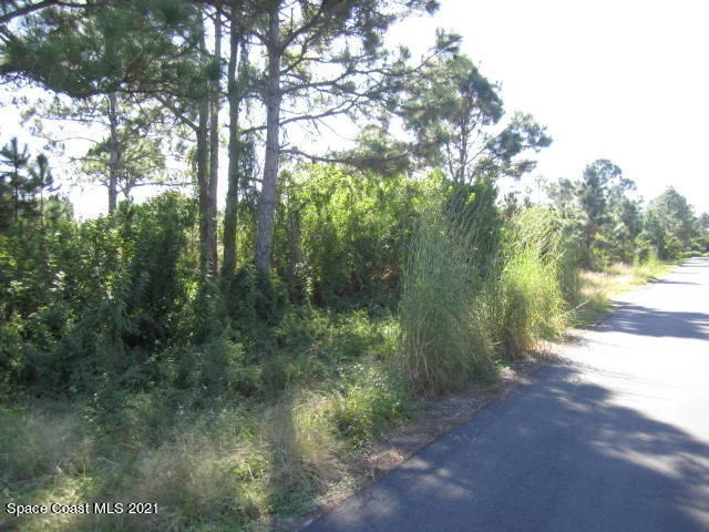 Photo of 2969 Fig Road SE