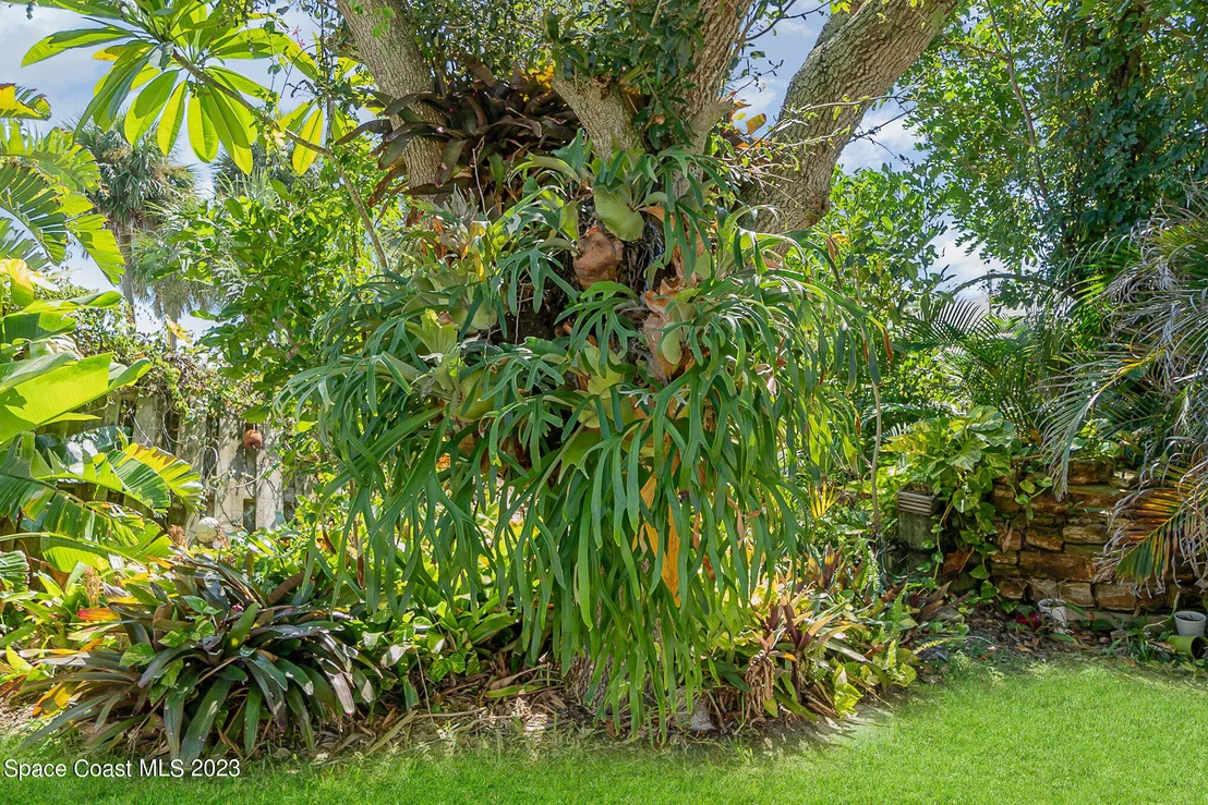 Photo of 135 Richards Road