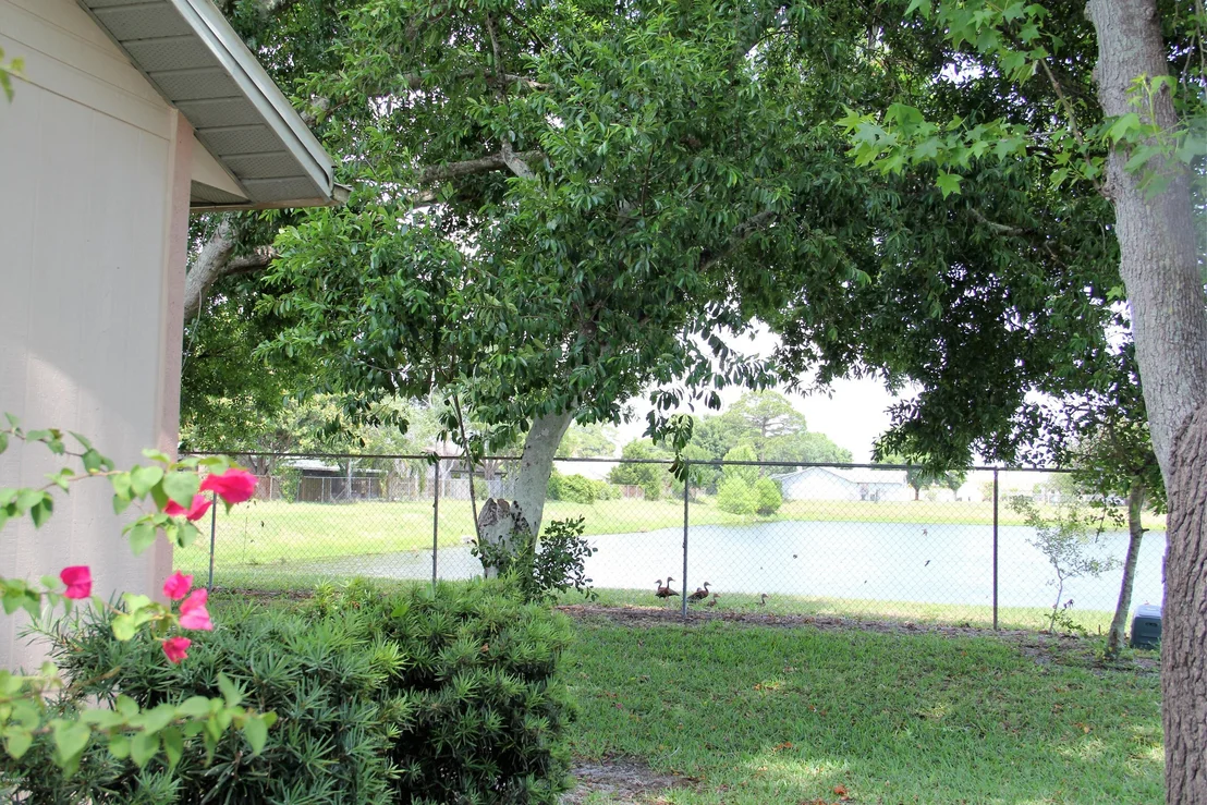 Photo of 844 Southern Pine