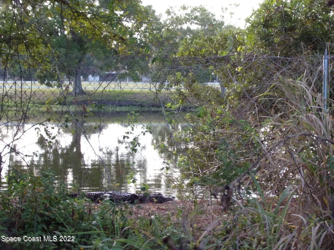 Photo of 261 Naylor Drive