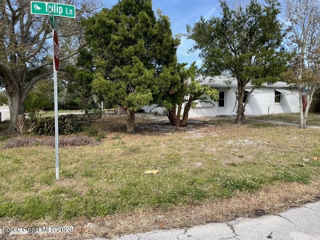 Photo of 300 Tulip Lane