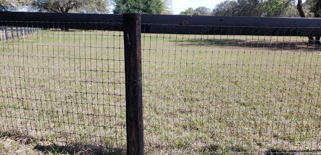 Photo of 2564 Smitty Road