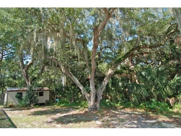 Photo of 1865 Oakwood