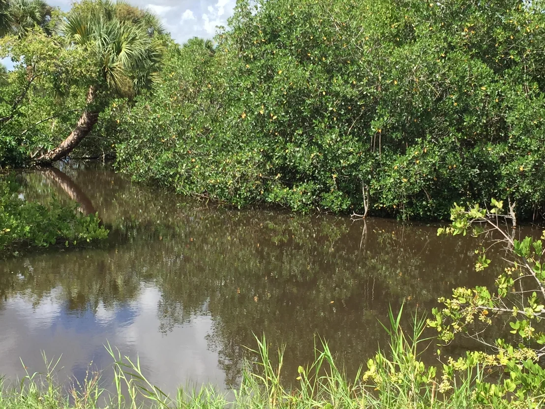Photo of 175 River Drive