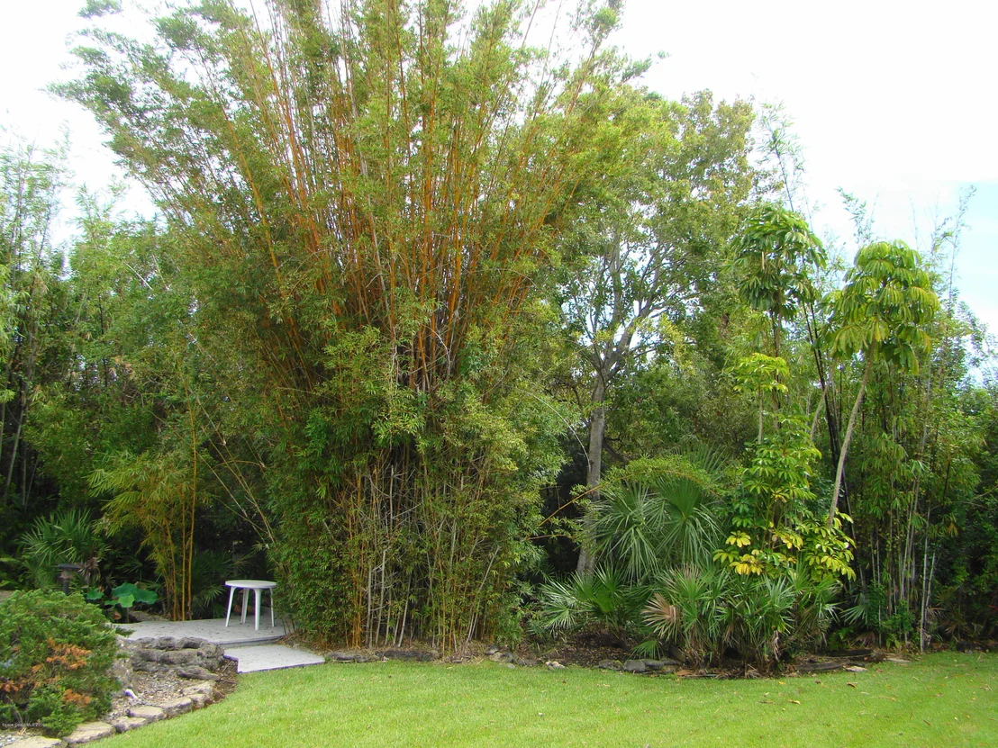 Photo of 4485 Canard Road