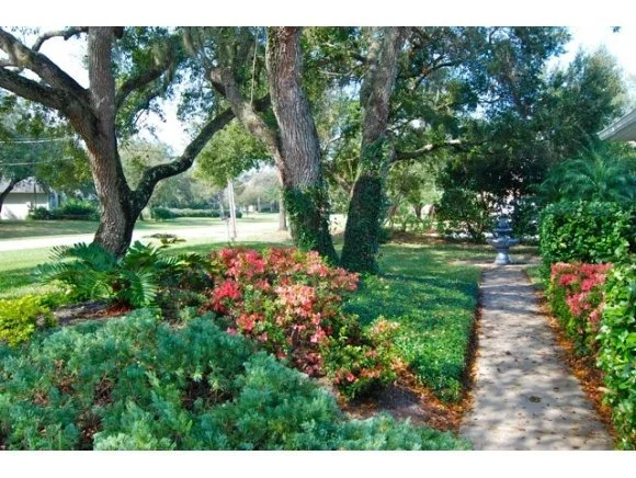 Photo of 4355 Davidia