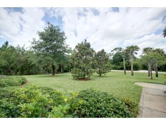 Photo of 4362 Ligustrum