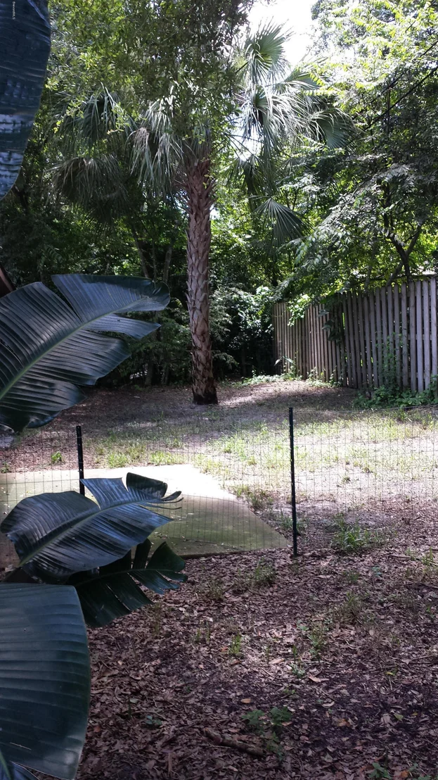 Photo of 50 1/2 Shady Lane