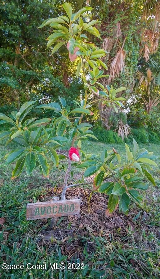 Photo of 1395 Lime Drive