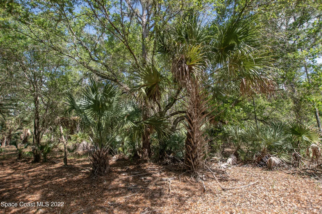 Photo of 1131 Owl Circle