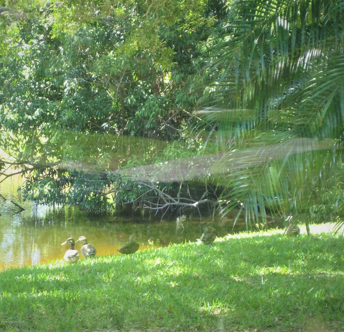 Photo of 327 Myrtlewood Road