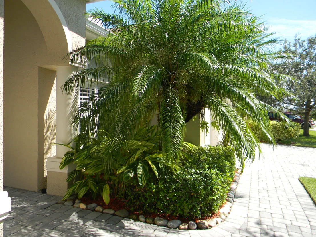 Photo of 1221 Tamango Drive