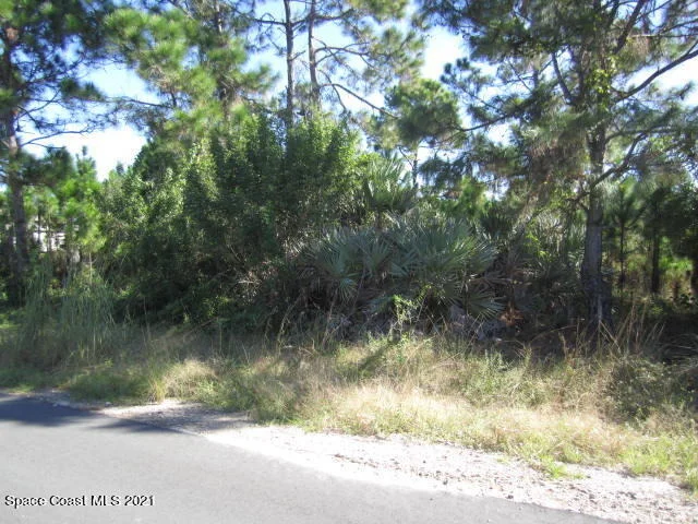 Photo of 2969 Fig Road SE