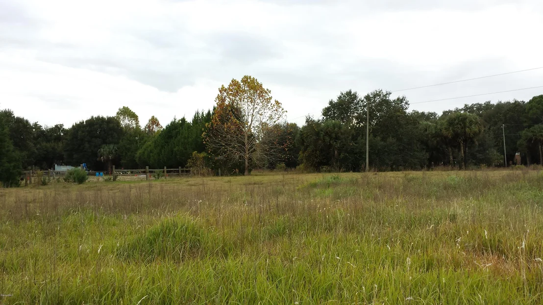 Photo of 6767 Laurel Oak Avenue