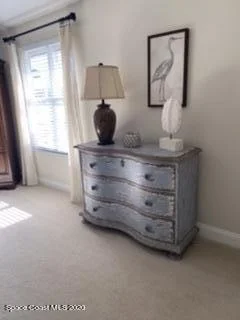 Photo of 858 Palm Brook Drive