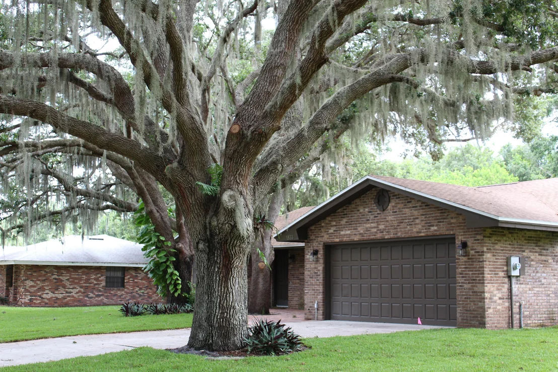 Photo of 1833 Oakwood