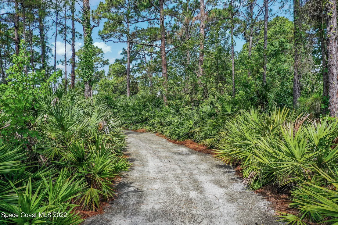 Photo of 7174 Orchid Tree Drive